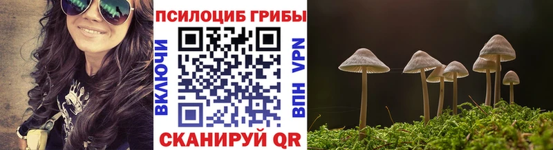 Псилоцибиновые грибы MAGIC MUSHROOMS Купить Новоузенск